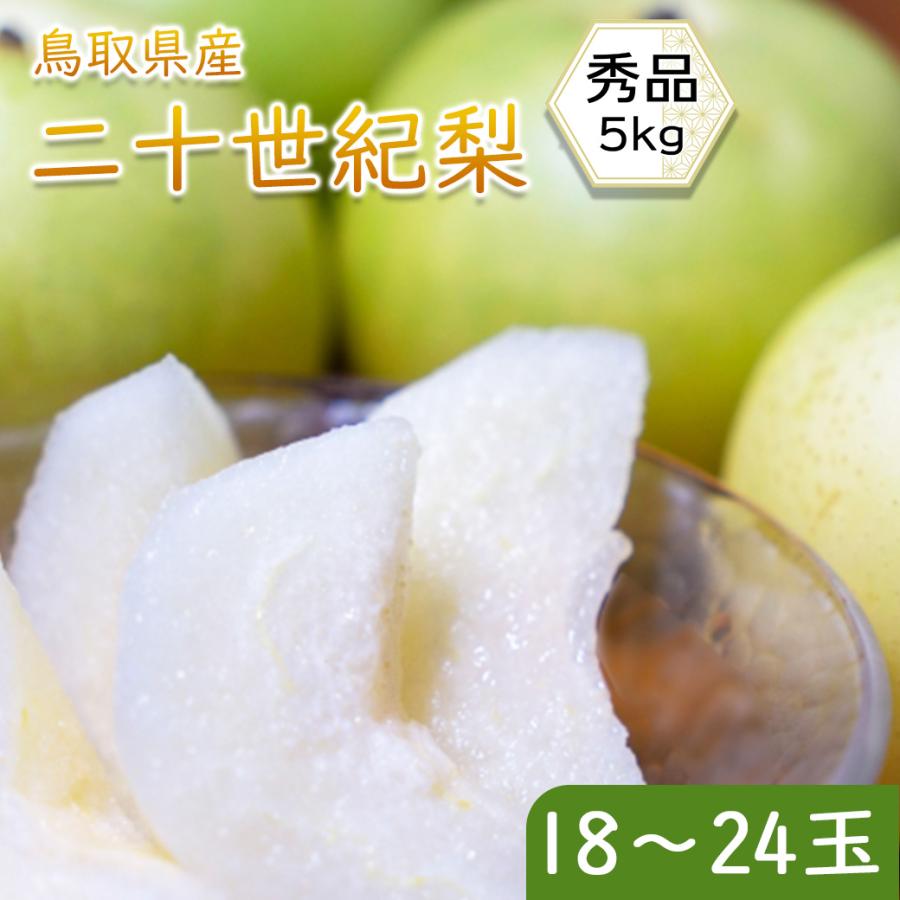 予約販売 梨 なし 鳥取県産 世紀梨 秀品 5kg 18 24玉入 送料無料 贈答用 梨 鳥取 世紀梨 なし ナシ 橋本さんちの梨シリーズ 9月上旬から中旬頃発送 Ypear99 060a02 大和屋 旬果庵 通販 Yahoo ショッピング