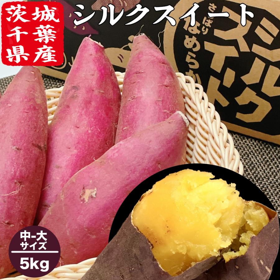 さつまいも 5kg 中-大サイズ 送料無料 シルクスイート 茨城県 または