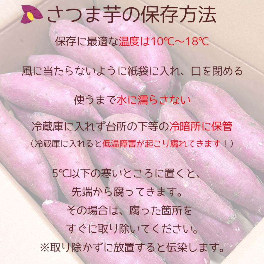 さつまいも 5kg 中-大サイズ 送料無料 シルクスイート 茨城県 または