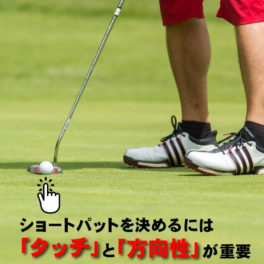 DAIYA GOLF 2/1まで限定特価 2m×20cm ストッパー＆ターゲットカップ付