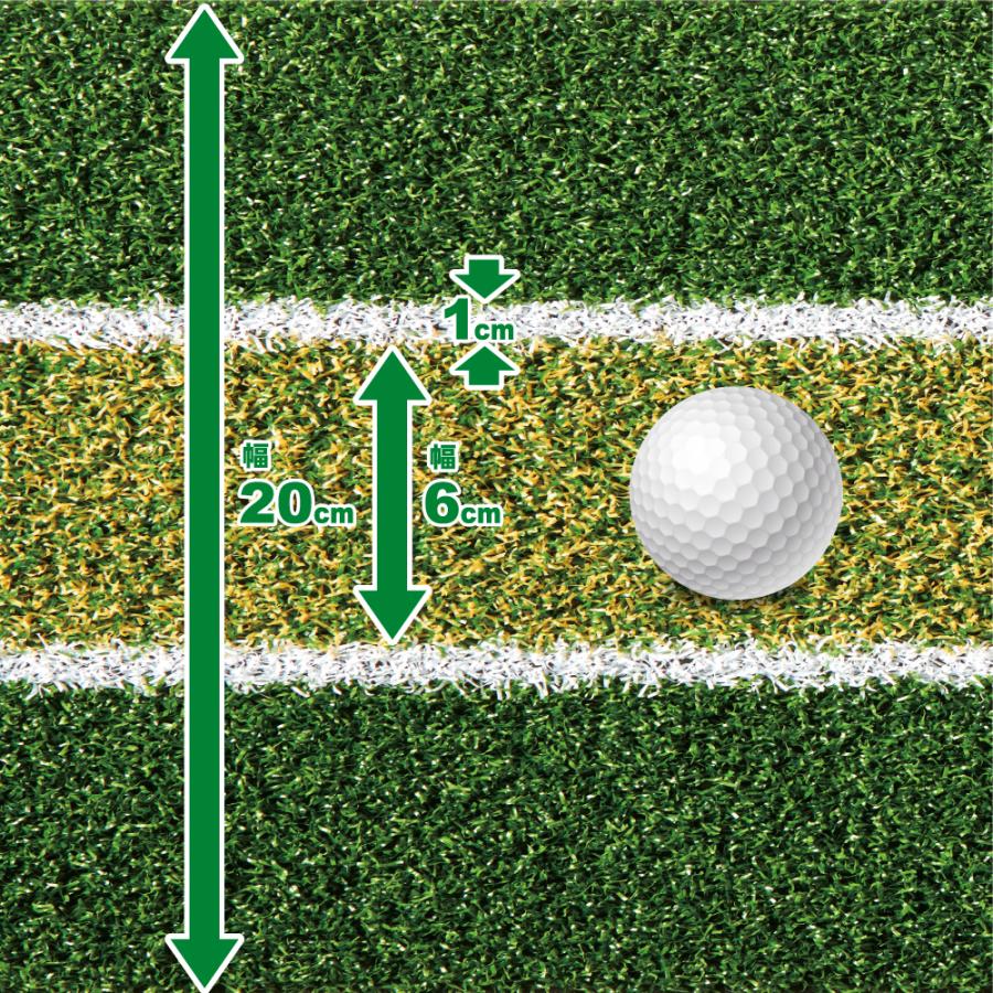 DAIYA GOLF 2m×20cm ストッパー＆ターゲットカップ付 高速ベント