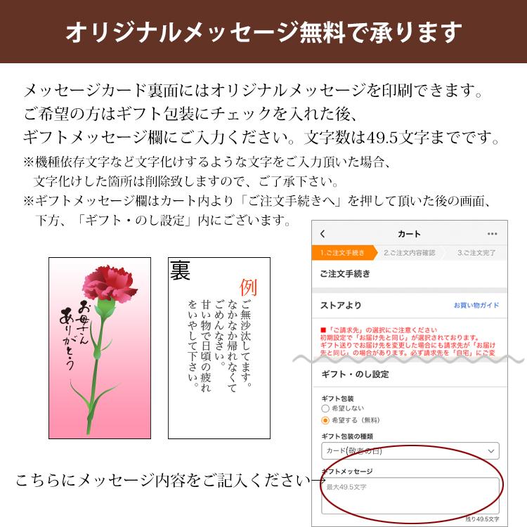 母の日ギフト 和菓子 9種15個和菓子E 遅れてごめんね 母の日 プレゼント 送料無料 ギフト お菓子 スイーツ 色々 お取り寄せ どら焼き 最中 老舗 大彌｜daiya｜04