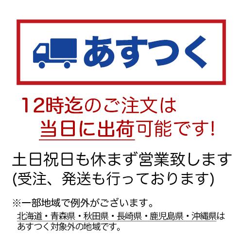 和菓子 ギフト 色々な和菓子9種 送料無料 母の日 お菓子 お供え 法事 志 父の日 お土産 お祝い 内祝い お礼 お返し 誕生日 プレゼント お取り寄せ 老舗  大彌｜daiya｜02