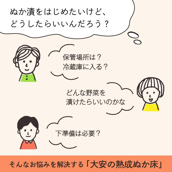 京つけもの 大安 熟成ぬか床 JK-S 800g 送料無料 大安 糠床 ぬか漬