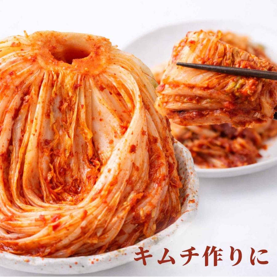 唐辛子粉 大荒 1kg 粗挽き 種付き ピリ辛 辛味 無着色 無添加 キムチ用