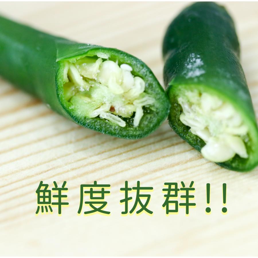 冷凍 唐辛子 青500g 激辛 トウガラシ 業務用 中華食材 ベトナム産