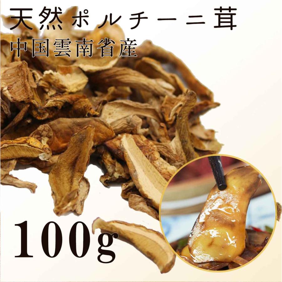 ポルチーニ茸 100g 乾燥 牛肝菌 詰め込んだ芳醇な香り 高級きのこ