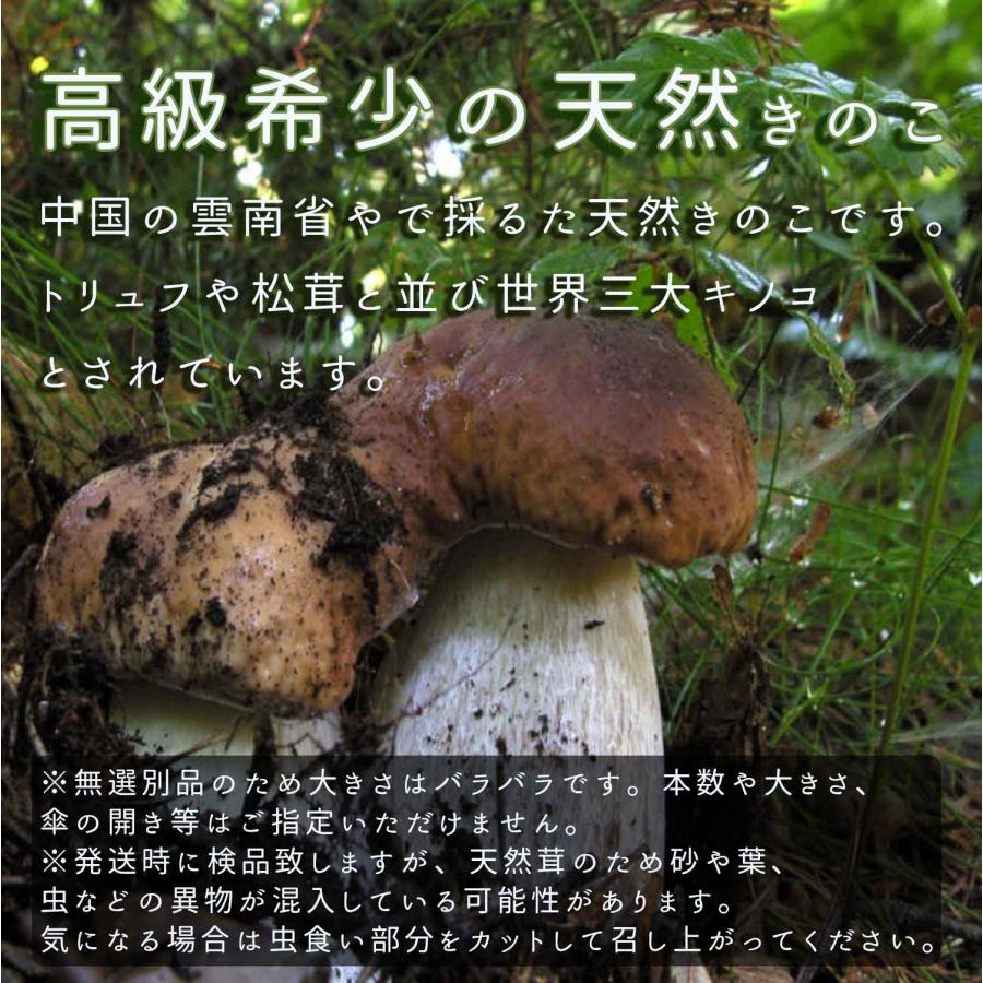 ポルチーニ茸 100g 乾燥 牛肝菌 詰め込んだ芳醇な香り 高級きのこ