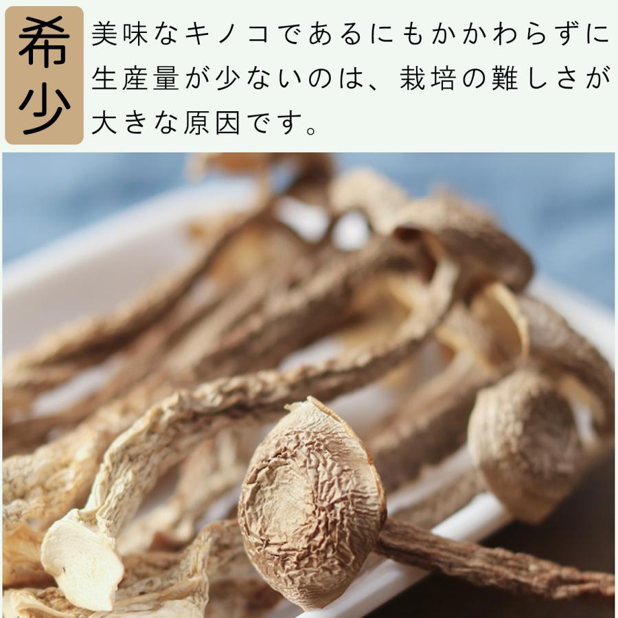 ハタケシメジ 500g 乾燥 しめじ茸 鹿茸 きのこ 自然の恵キノコ 椎茸 