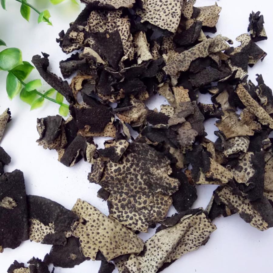 岩茸 イワタケ 700ｇ信州産 乾燥 岩茸 イワタケ 50g 天然 いわたけ 山の珍味 高級山菜 精進料理 地