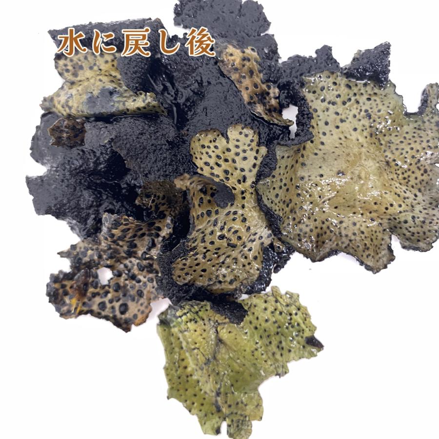 乾燥 岩茸 イワタケ 50g 天然 いわたけ 山の珍味 高級山菜 精進料理 地