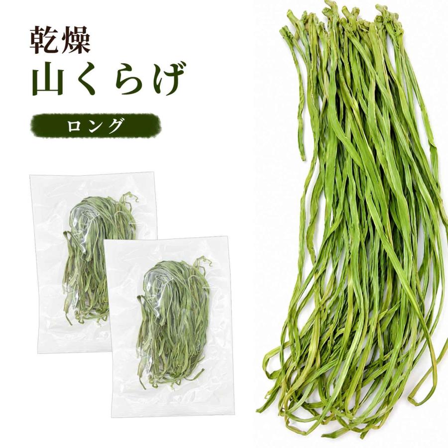 乾燥 山くらげ 100gx2袋セット 貢菜干 乾燥野菜 山クラゲ 苔菜干