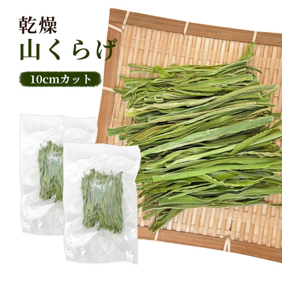 さおり　　山菜　コリコリ食感♡  乾燥山くらげ 10袋セット 乾燥 山くらげ 100gx2袋（10cmカット）貢菜干 乾燥野菜 山クラゲ 菜