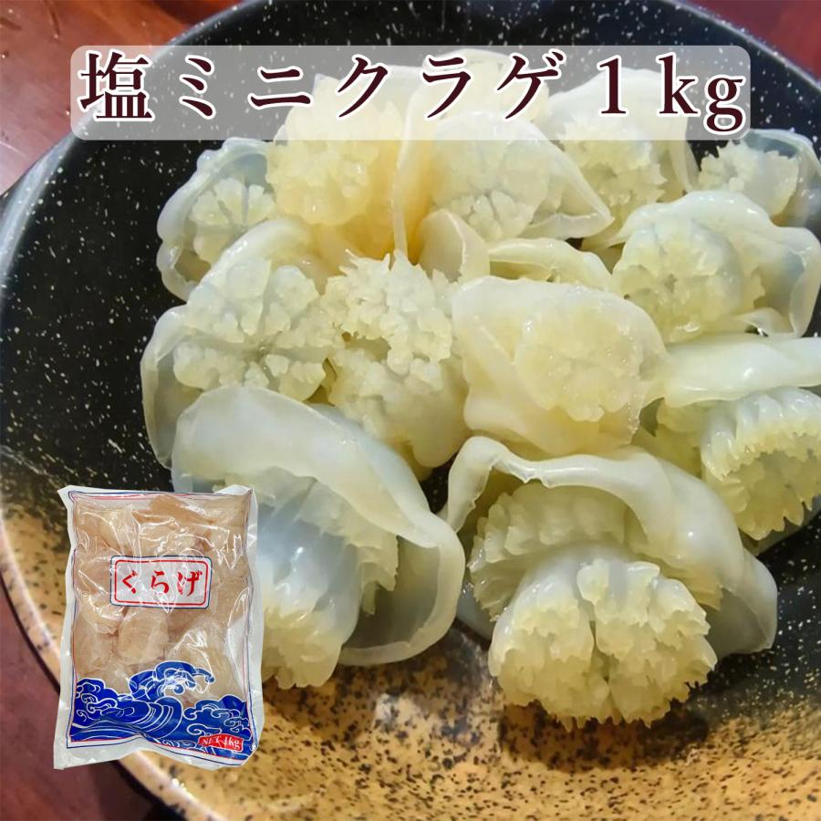 ミニクラゲ 1kg 食用クラゲ 塩漬クラゲ 中華くらげ ミニくらげ クラゲ