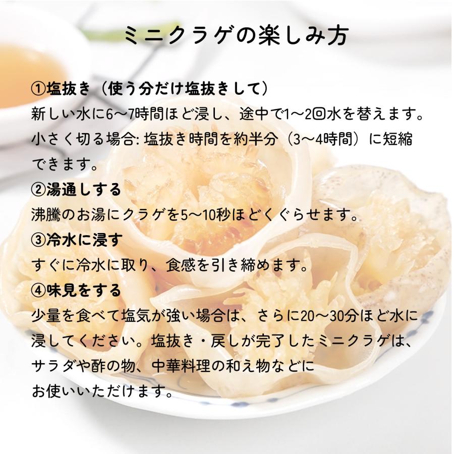 食用クラゲ 食べ比べ2種セット 2kg】キャノンボール頭 1kg + ミニ