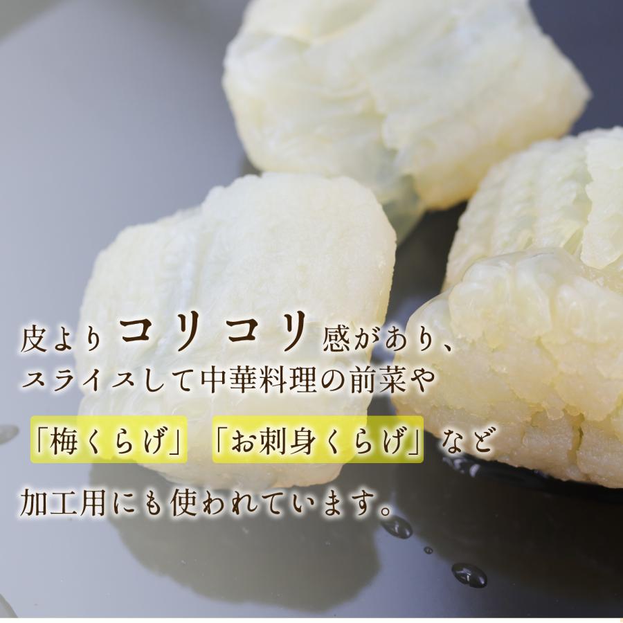 食用クラゲ キャノンボール頭 1kgｘ15袋 くらげの頭 クラゲの頭 くらげ クラゲ クラゲ くらげ頭 海クラゲ 中華くらげ 中華料理 父の日 ギフト お中元_2
