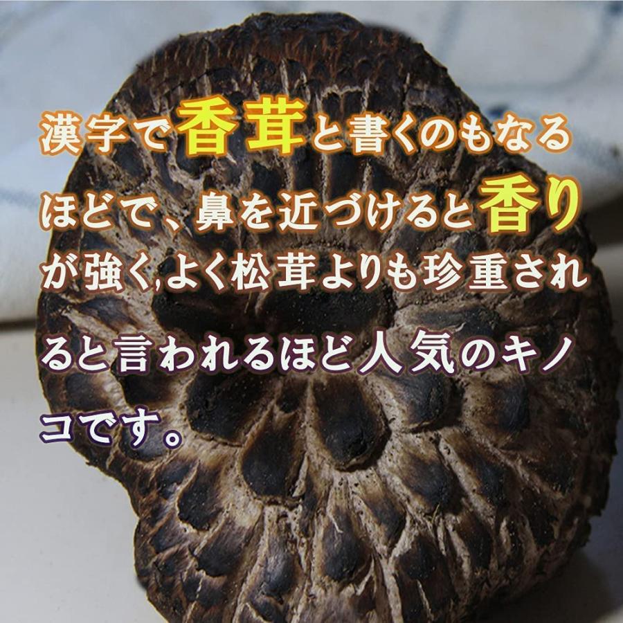 乾燥 コウタケ 香茸 50g 雲南産 鹿茸 天然きのこ サイズ不揃い 椎茸