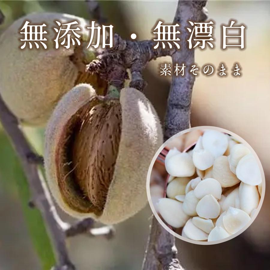 南杏 ナンキョウ 100g 甜杏仁 てんあんにん 薬膳や杏仁豆腐の原料に