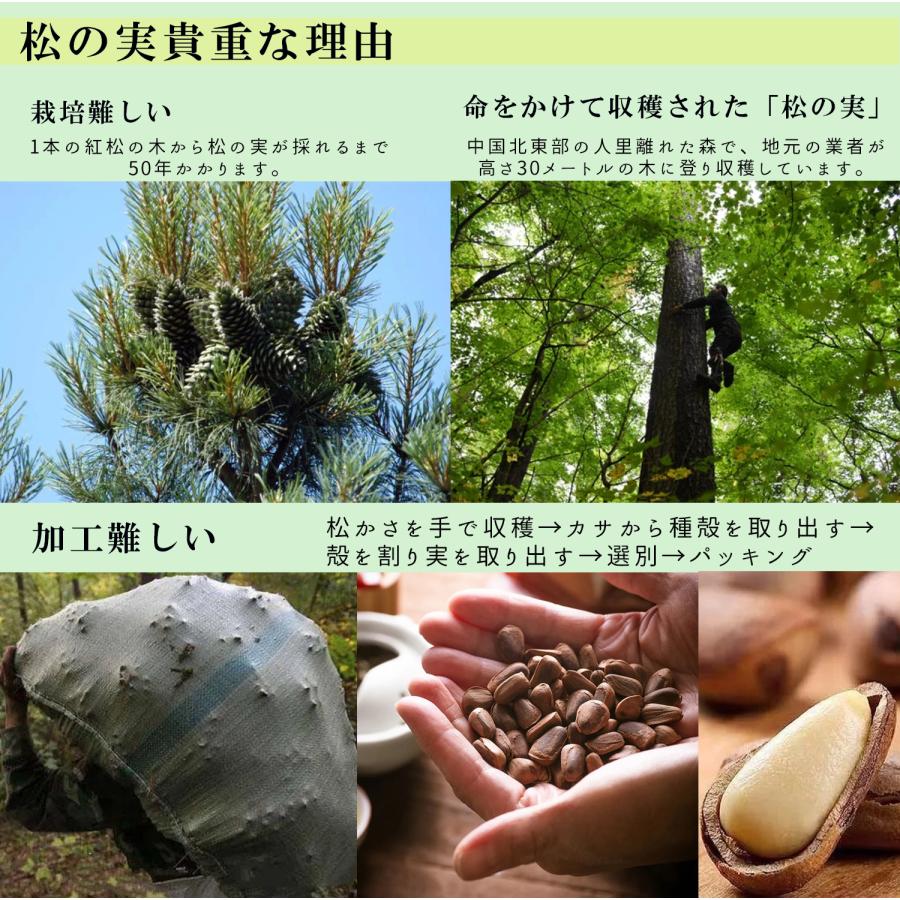 松の実 100g 特級AAグレード 大粒 無添加 生松の実 まつのみ チャク
