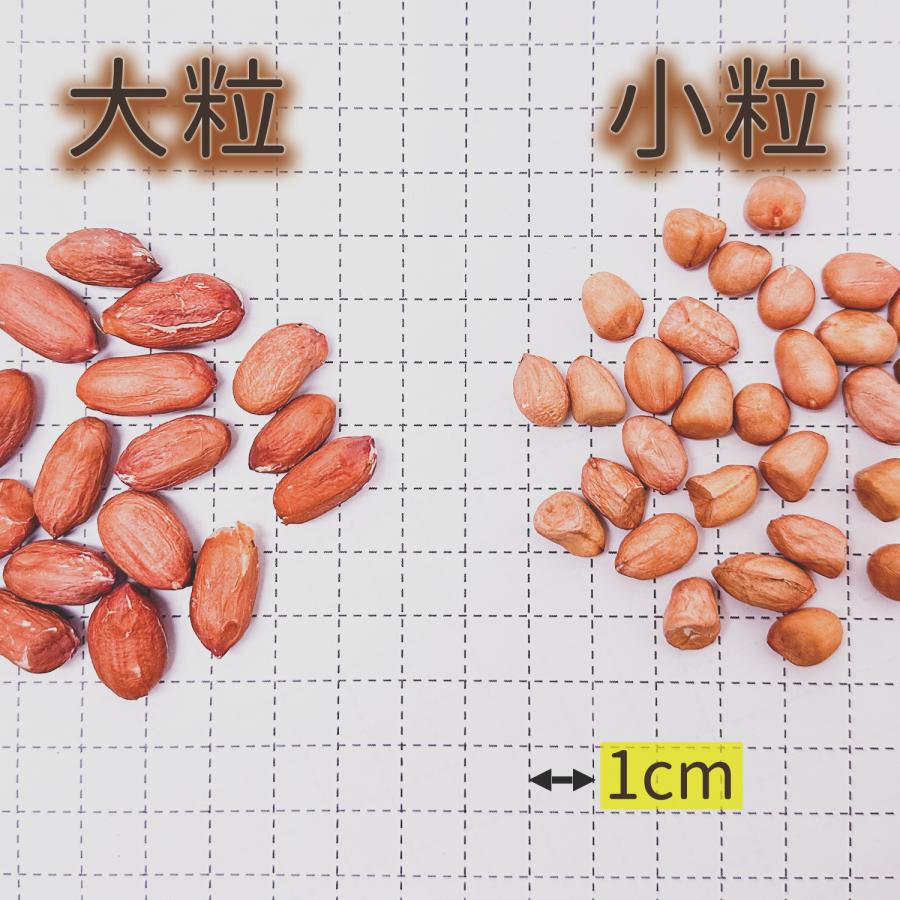 落花生 生 ピーナッツ 大粒 800ｇ なま落花生 生花生 殻なし うす 皮付き 無添加 無塩 無油 おつまみ｜daiyoubussan｜02