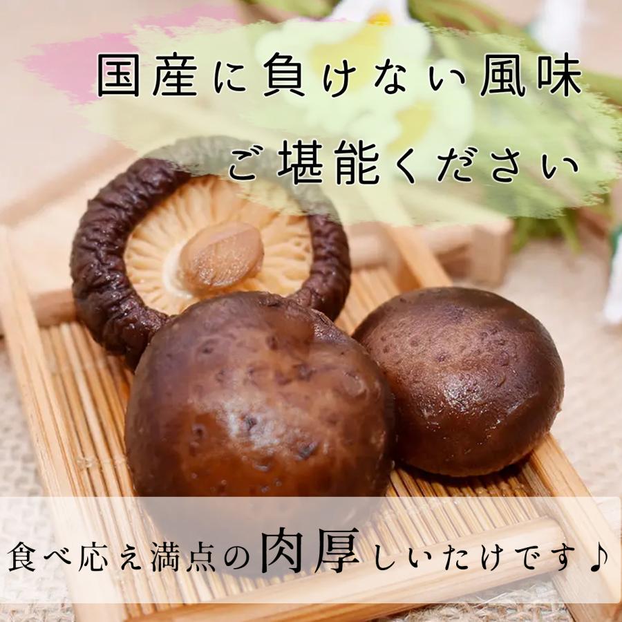 大洋物産 干し椎茸 どんこ 1kg しいたけ しシイタケ 乾燥椎茸 肉厚