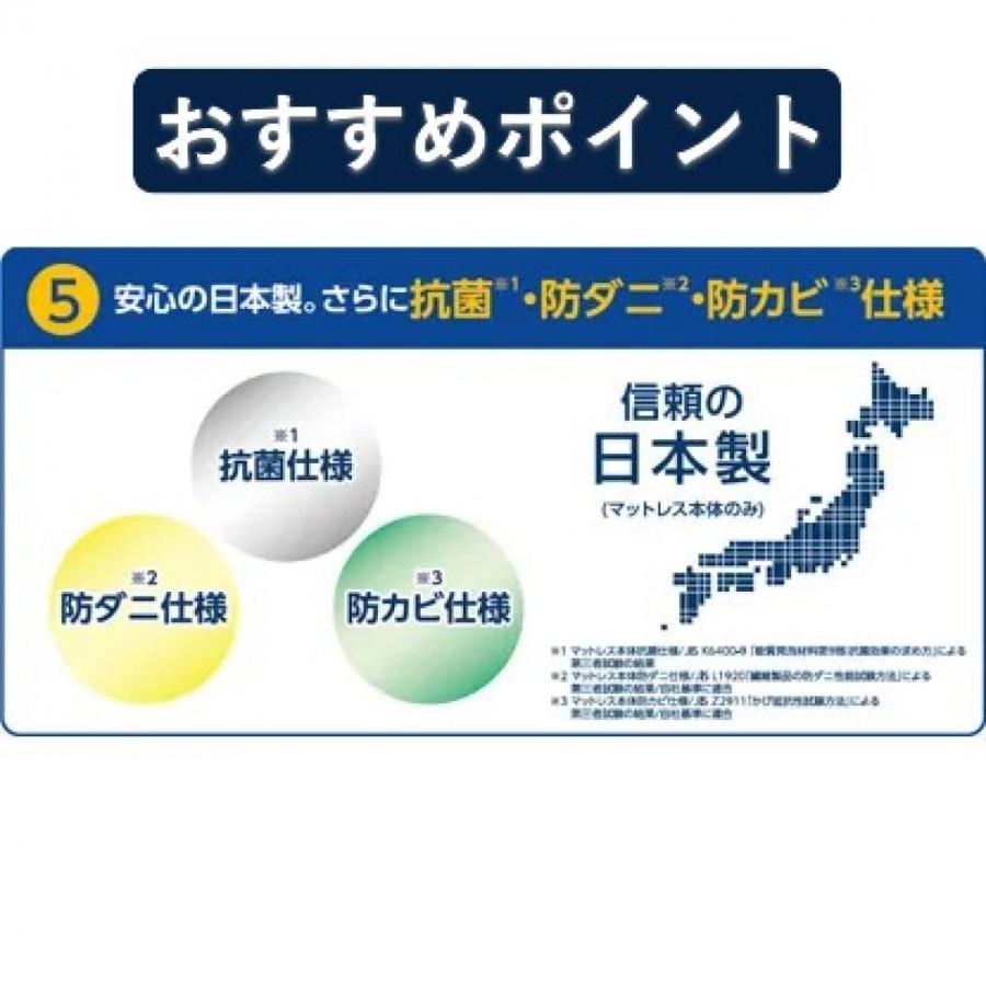 ショップジャパン（Shop Japan） 【在庫有・即納】トゥルースリーパー