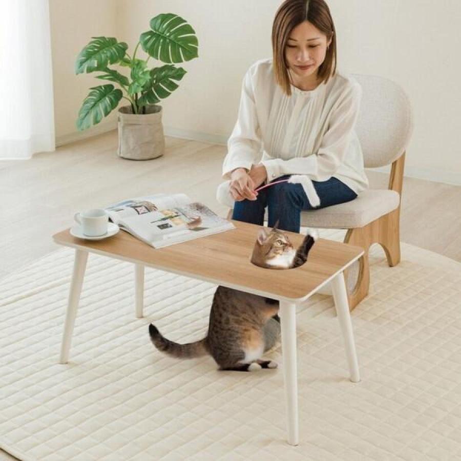 ドウシシャ ハンモック付き 穴あきテーブル ANIT-NA ナチュラル 猫 猫