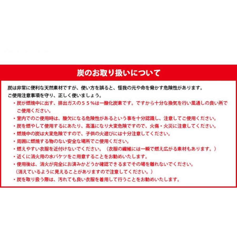 仙台牛タンの名店が使用!一級品 オガ炭 20kg(10kg×2個) インドネシア産 長時間燃焼 オガ備長炭 BBQ バーベキュー 業務用 炭 たかやま|daiyu8-y|07