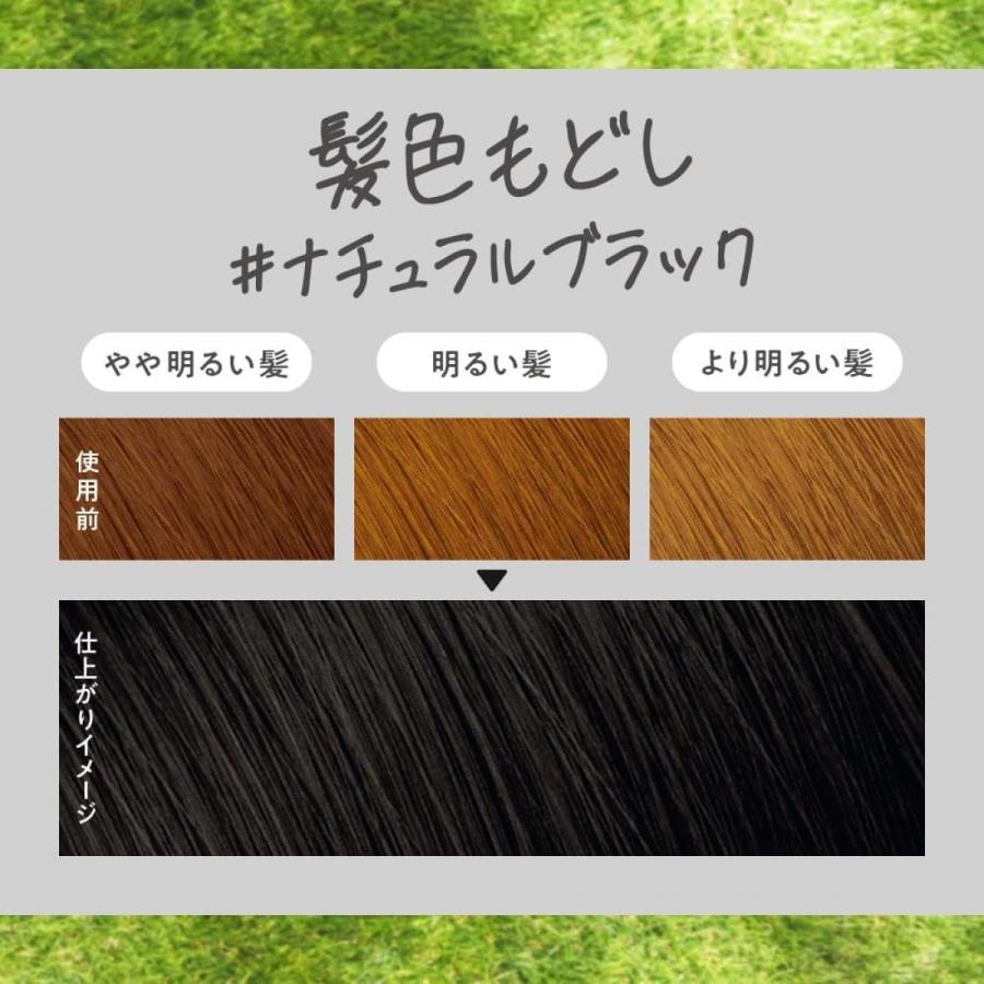 まとめ買い】リーゼ 泡カラー 髪色もどし ナチュラルブラック 115ml×5