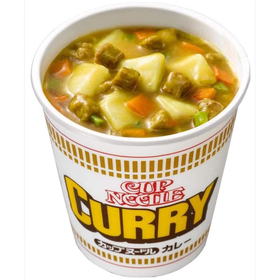 日清食品 カップヌードル カレー87g（麺量60g） 20食入り 1