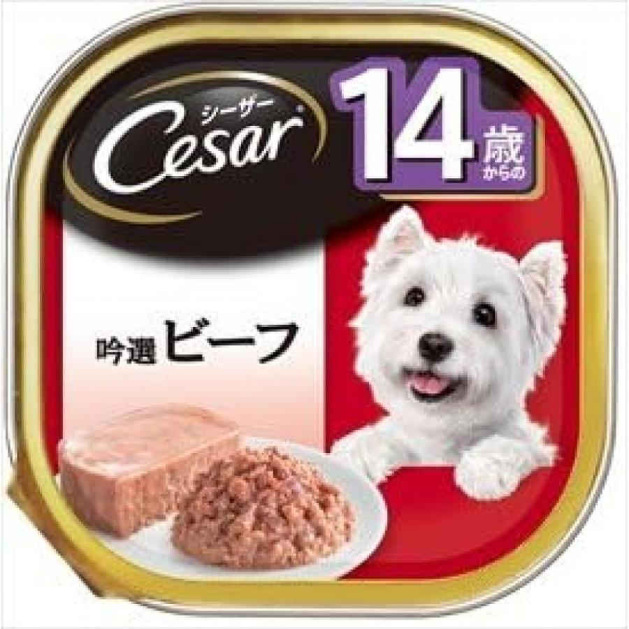 14歳 吟選ビーフ 100g : ダイユーエイト.com ヤフー店 - 通販 - Yahoo