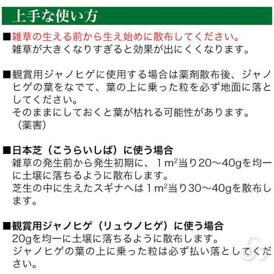 【在庫有・即納】シバキープIII 粒剤 3kg×6個セット レインボー薬品 芝生用除草剤 除草剤 除草 芝生 メンテナンス_3