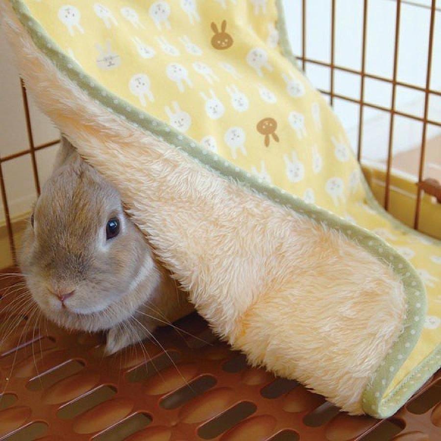 ドギーマン Doggyman ウサギのマットでほりほり 小動物 穴掘り ダイユーエイト Com ヤフー店 通販 Yahoo ショッピング