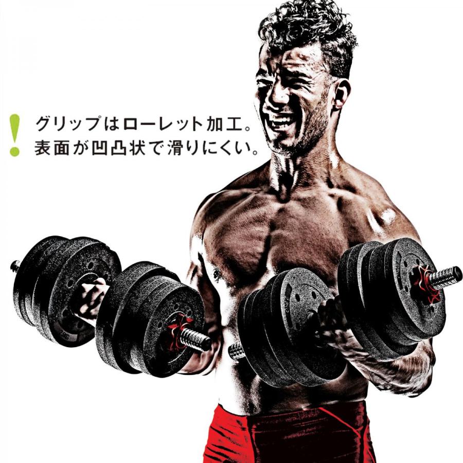 La-VIE(ラヴィ) メガダンベルセット 10kg×2個 3B-3497 トレーニング