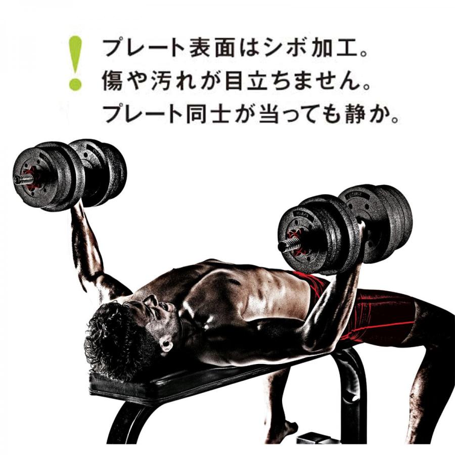 La-VIE(ラヴィ) メガダンベルセット 10kg×2個 3B-3497 トレーニング