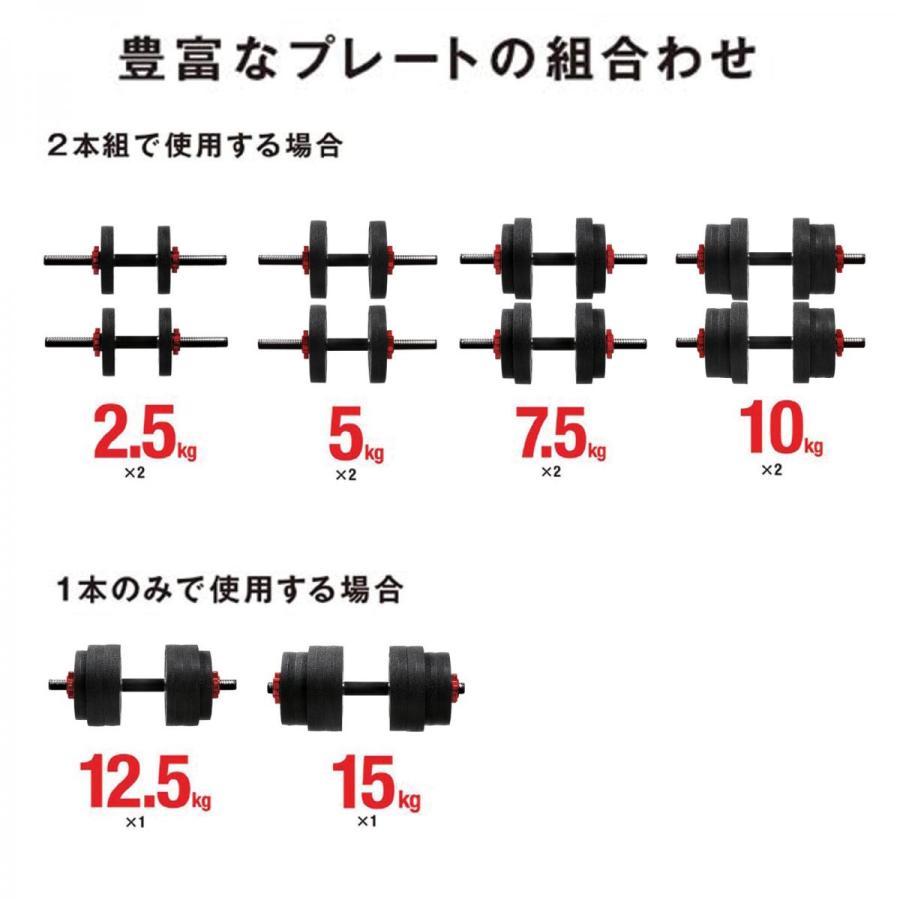 La-VIE(ラヴィ) メガダンベルセット 10kg×2個 3B-3497 トレーニング