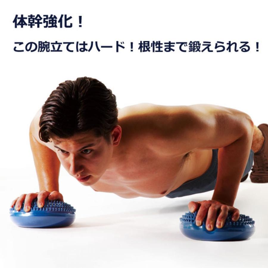 La-VIE(ラヴィ) ストロングバランス2個セット 3B-4828 トレーニング