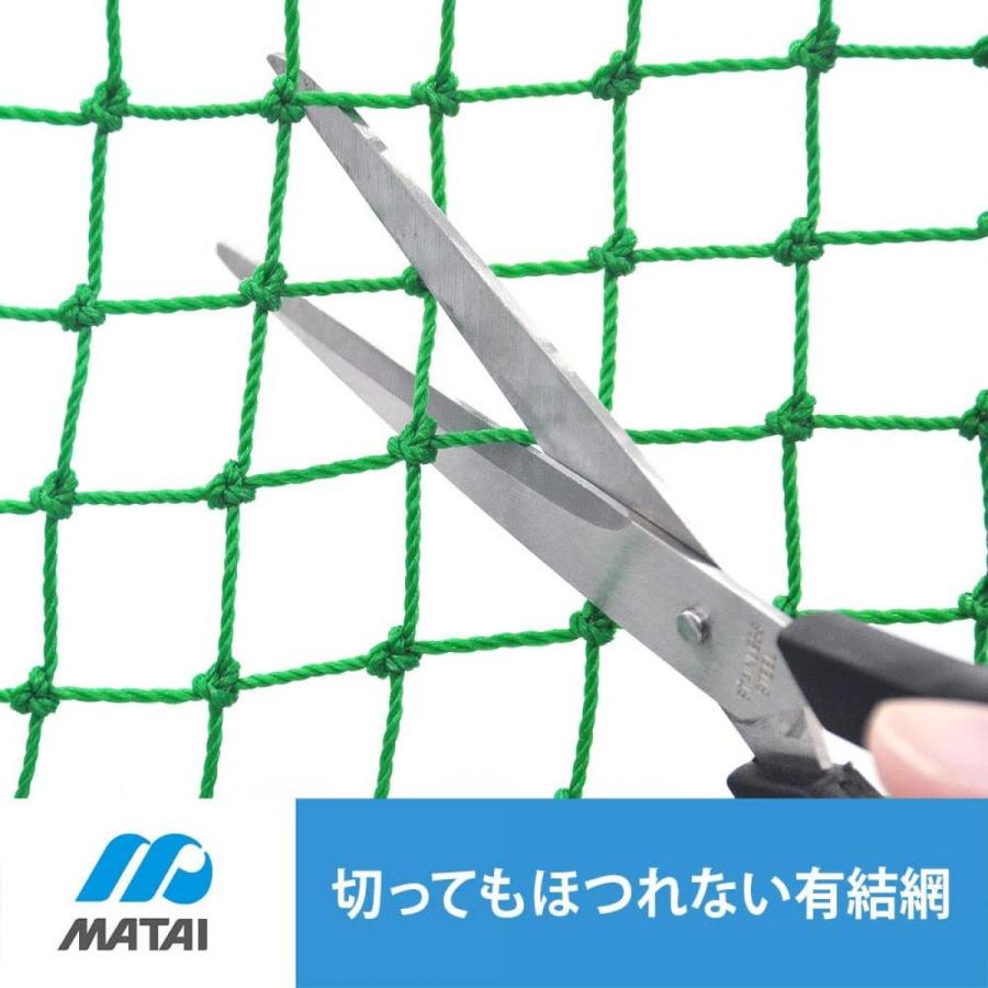 マルソル(MARSOL) おすきにネット 22mm角目 1m×3m 緑色 防獣 防鳥