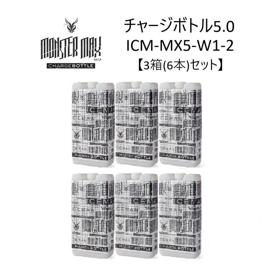 YAMASHIN（ヤマシン） 【5月末〜入荷予定】 【3箱(6本)セット】 アイス