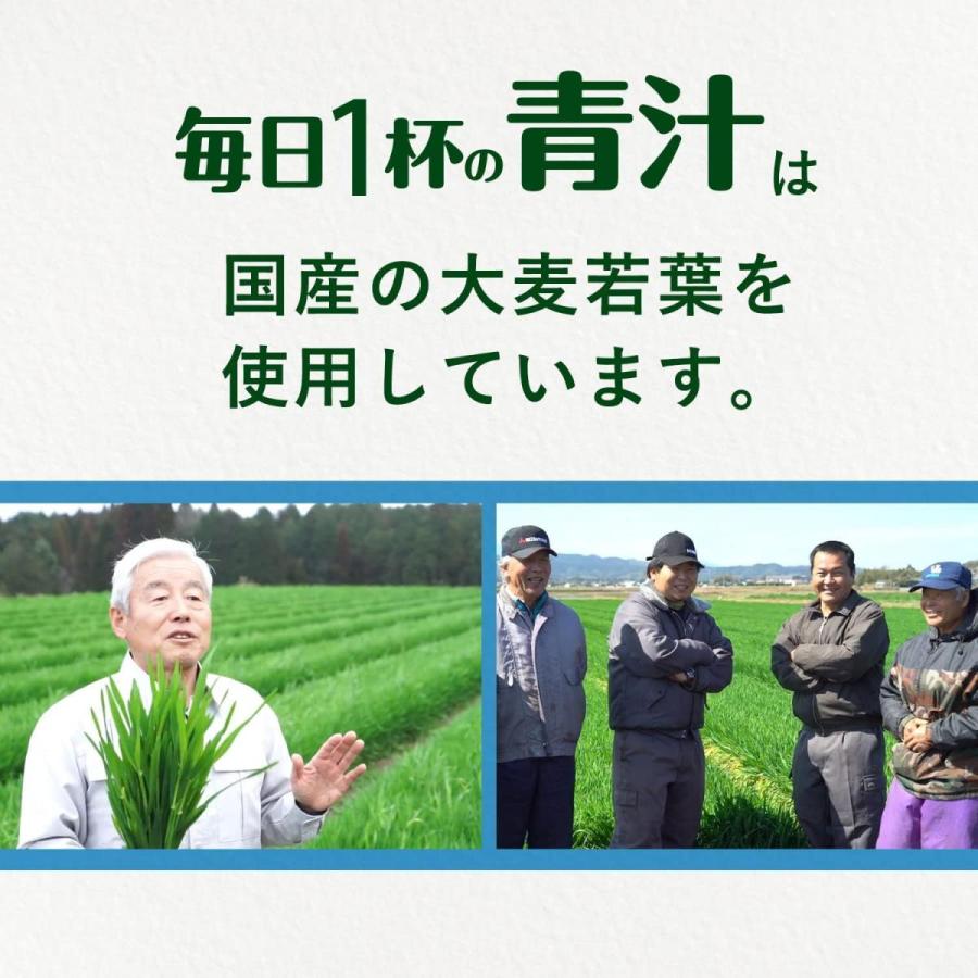 【まとめ買い】伊藤園 毎日1杯の青汁 まろやか豆乳ミックス 紙パック 200ml×24本(1ケース)　栄養機能食品 国産 大麦若葉 ケール｜daiyu8｜04