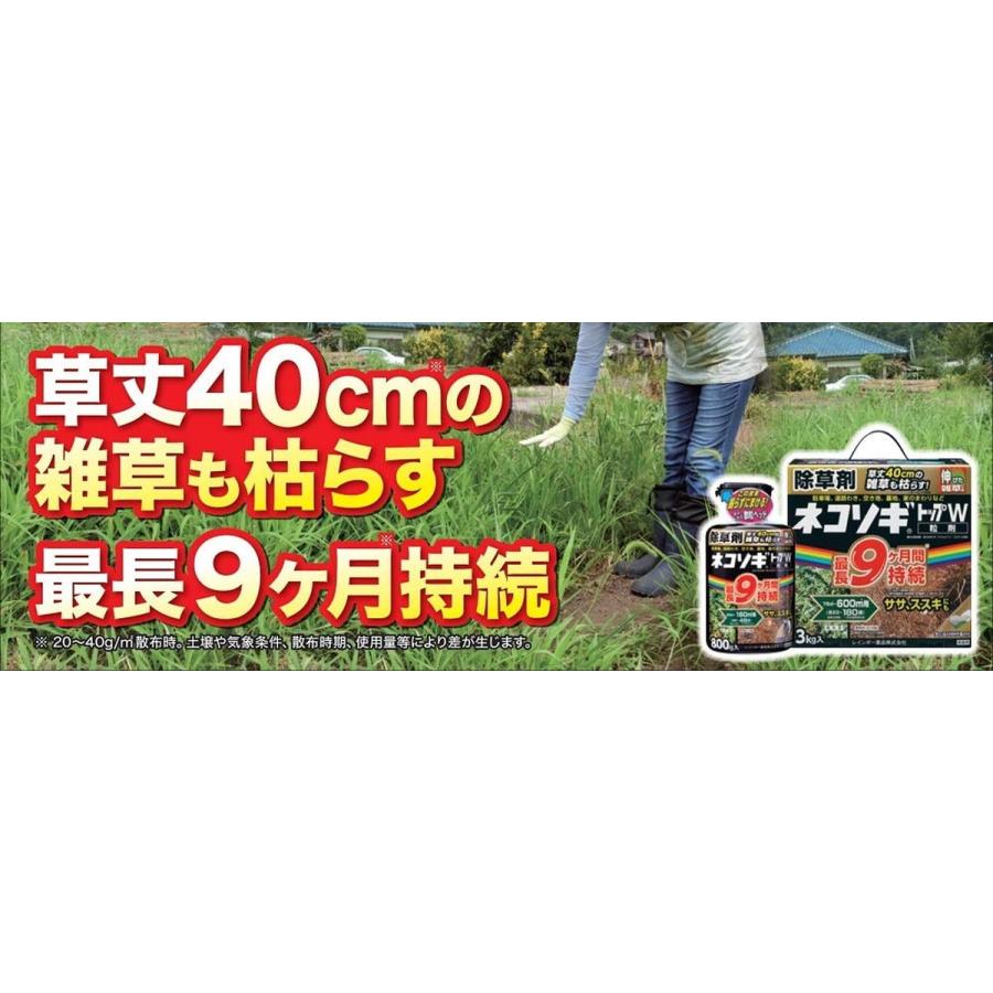 レインボー薬品 ネコソギトップW粒剤 800g(20~160m2用・約6~48坪) 　除草剤 園芸 雑草対策 草刈り｜daiyu8｜03