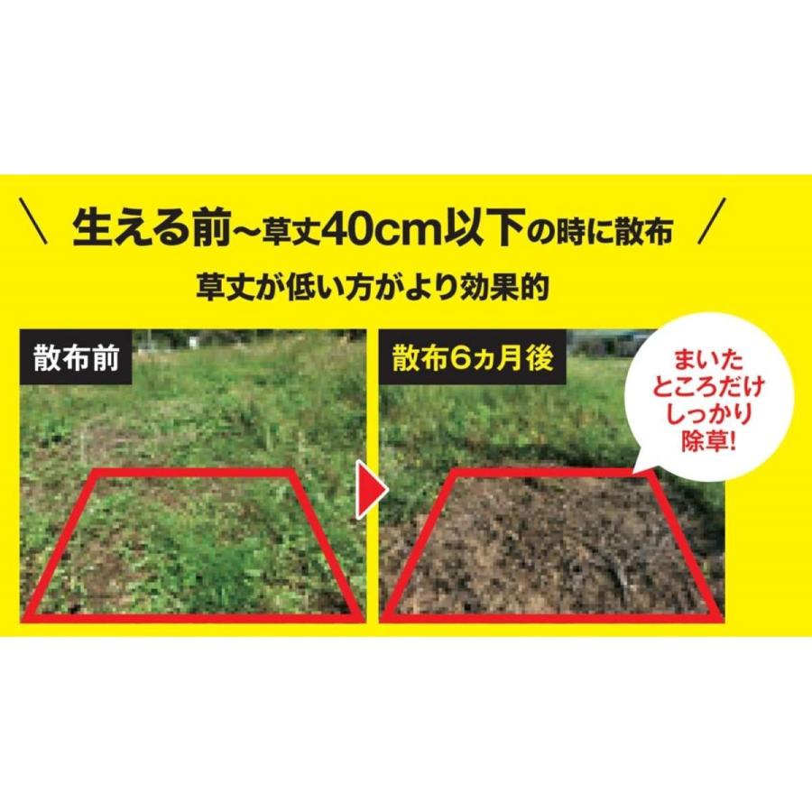 【在庫有・即納】レインボー薬品 ネコソギブロックV粒剤 10kg 除草剤 農耕地用 ネコソギ 雑草 除草 イネ スギナ ガーデニング 園芸用品_1