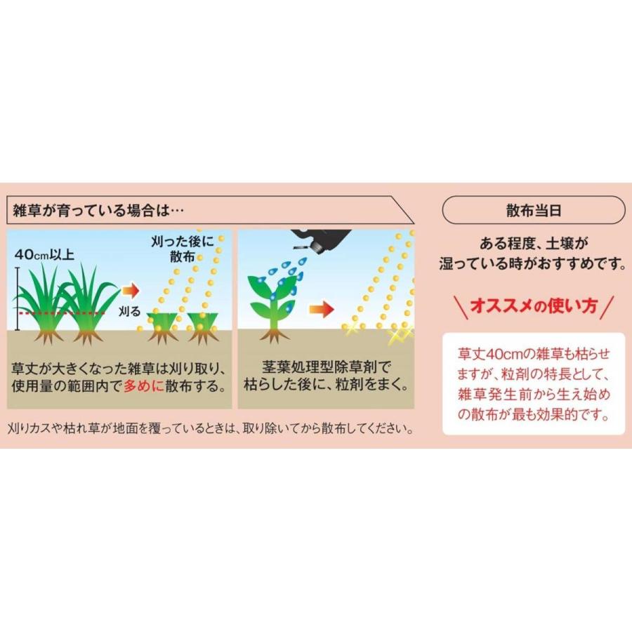 【在庫有・即納】レインボー薬品 ネコソギブロックV粒剤 10kg 除草剤 農耕地用 ネコソギ 雑草 除草 イネ スギナ ガーデニング 園芸用品_2