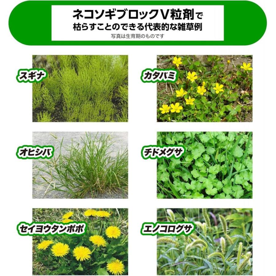 【在庫有・即納】レインボー薬品 ネコソギブロックV粒剤 10kg 除草剤 農耕地用 ネコソギ 雑草 除草 イネ スギナ ガーデニング 園芸用品_5