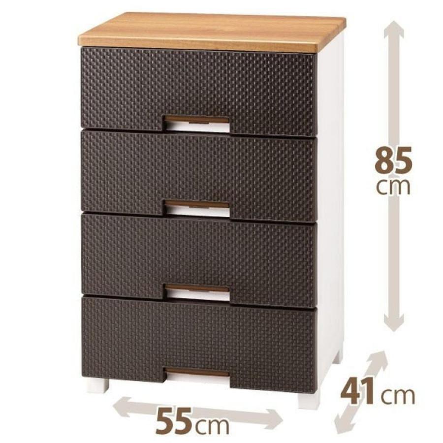 天馬/tenma フィッツプラスメッシュ FM5504 ブラウン 衣装ケース 収納