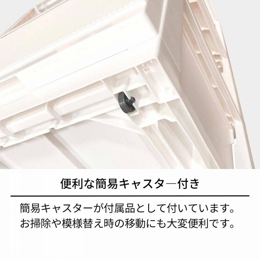 天馬 tenma プロフィックス スタイルケース 組立式 6503 深型 ブラウン サイズ(約)幅65×奥行45×高さ85cm 収納ケース 衣類収納