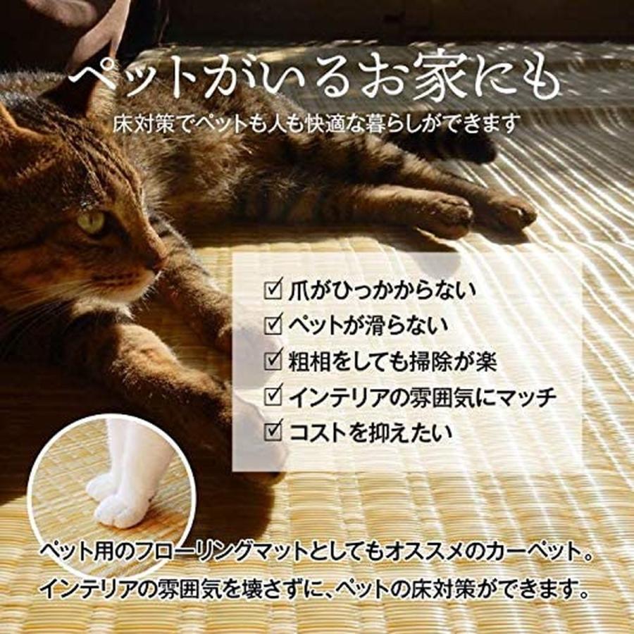 【i】【代引不可】イケヒコ ラグ カーペット バルカン 本間4.5畳 約286×286cm ベージュ 日本製 洗える #2102314【北海道・沖縄・離島不可】_3