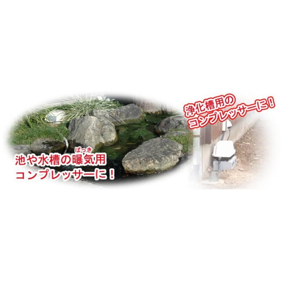 工進（KOSHIN） 浄化槽用 エアーポンプ コーシンブロワ AK-100 