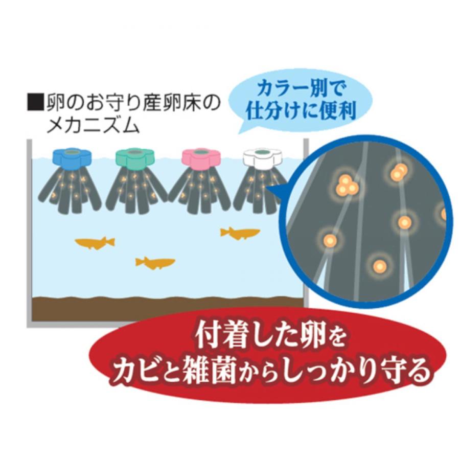 GEX メダカ元気 卵のお守り産卵床4色セット めだか 抗菌 繁殖 育成用品