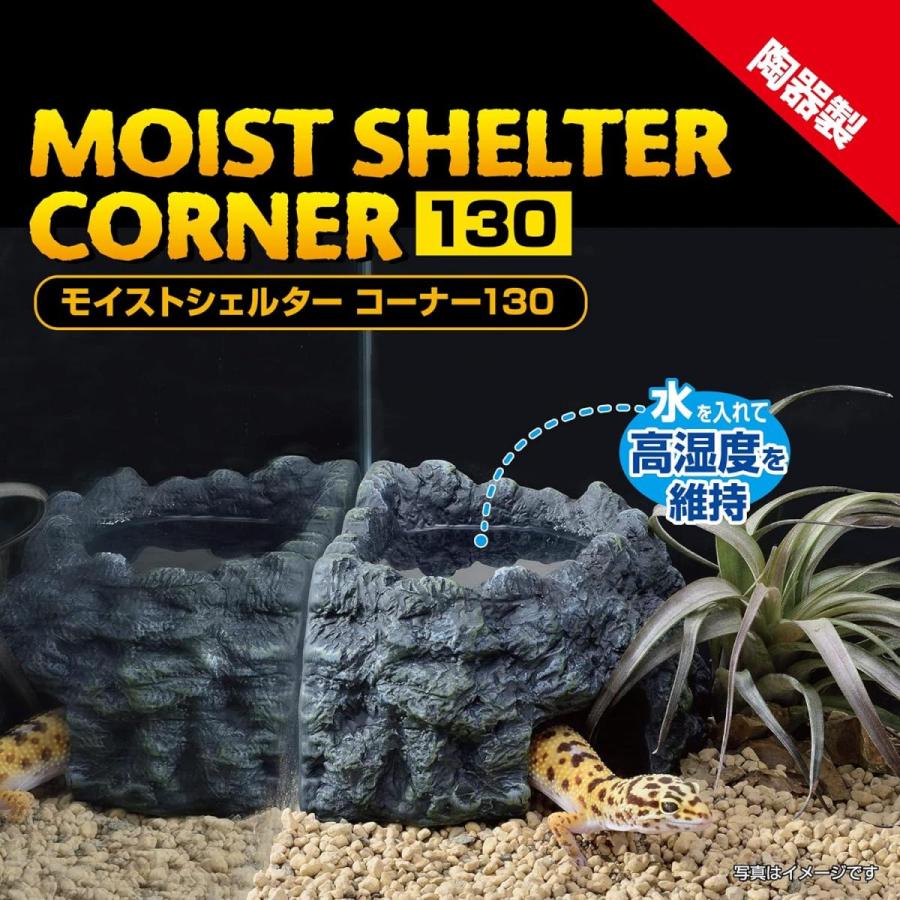 GEX（ジェックス） 【在庫有・即納】 エキゾテラ EXOTERRA モイスト